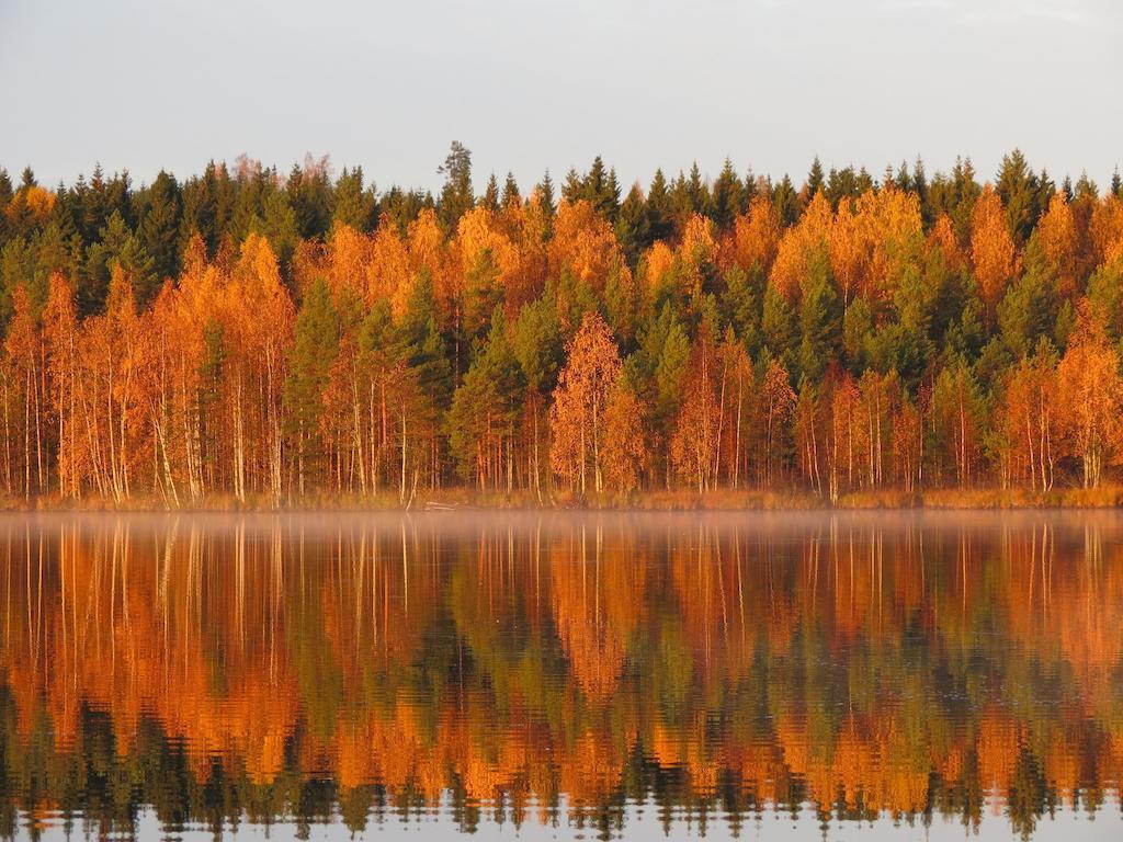 فندق Honkiniemi Ähtäri المظهر الخارجي الصورة